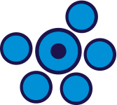 Team Azzurro